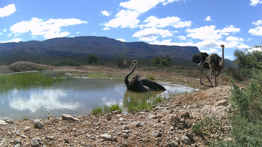 2 Bedroom Property for Sale in Ladismith Rural Western Cape